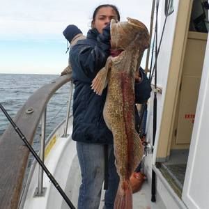 Meet your Posher, Misty